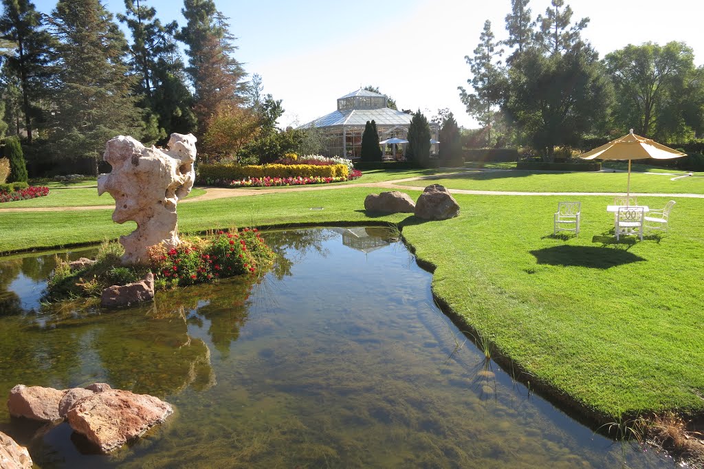 Header Image - Life Light Wellness Center